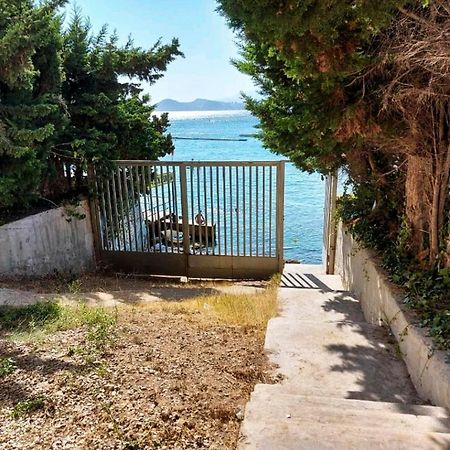 Paloma Dream Apartment Benidorm Luaran gambar